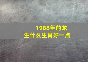 1988年的龙生什么生肖好一点