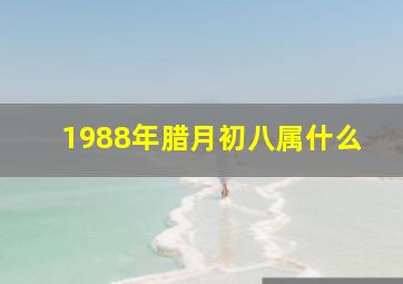 1988年腊月初八属什么