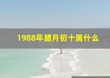 1988年腊月初十属什么