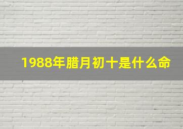 1988年腊月初十是什么命