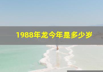 1988年龙今年是多少岁