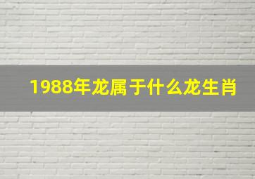 1988年龙属于什么龙生肖