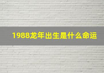 1988龙年出生是什么命运