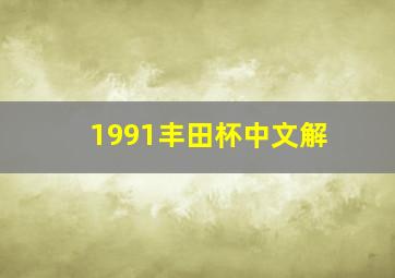 1991丰田杯中文解