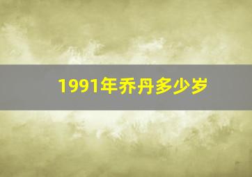 1991年乔丹多少岁