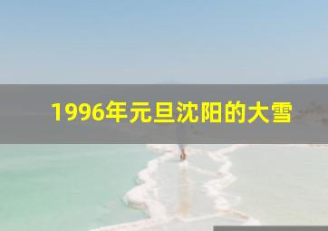 1996年元旦沈阳的大雪