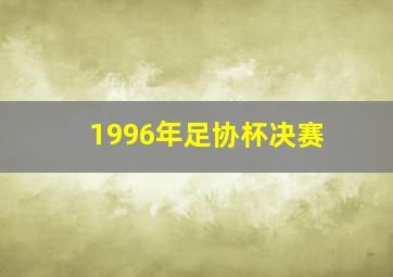 1996年足协杯决赛