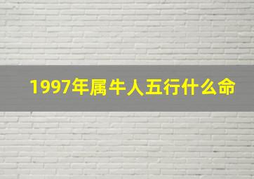 1997年属牛人五行什么命