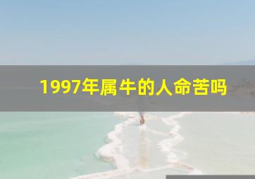 1997年属牛的人命苦吗