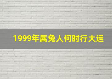 1999年属兔人何时行大运