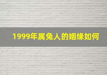 1999年属兔人的姻缘如何