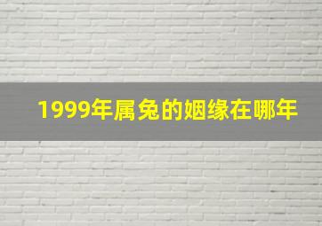 1999年属兔的姻缘在哪年