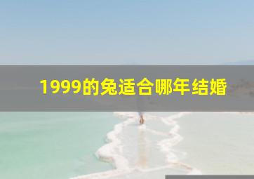 1999的兔适合哪年结婚