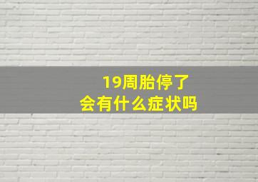 19周胎停了会有什么症状吗