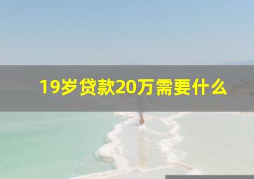 19岁贷款20万需要什么