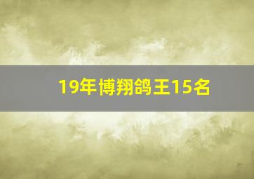 19年博翔鸽王15名