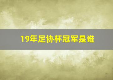 19年足协杯冠军是谁