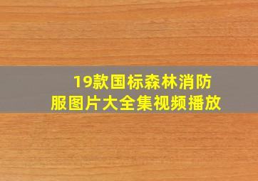 19款国标森林消防服图片大全集视频播放