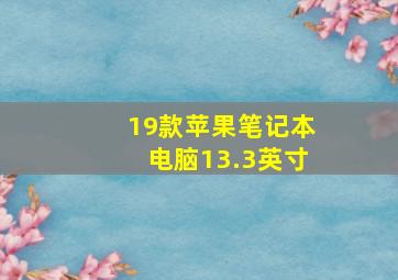 19款苹果笔记本电脑13.3英寸