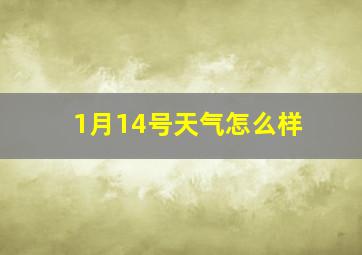 1月14号天气怎么样