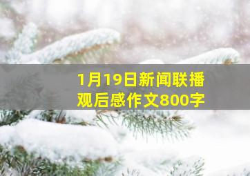 1月19日新闻联播观后感作文800字