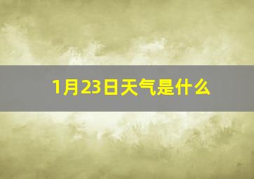 1月23日天气是什么