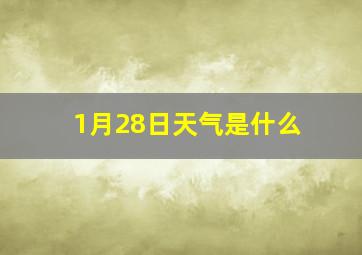 1月28日天气是什么