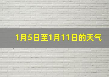 1月5日至1月11日的天气