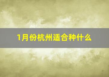 1月份杭州适合种什么