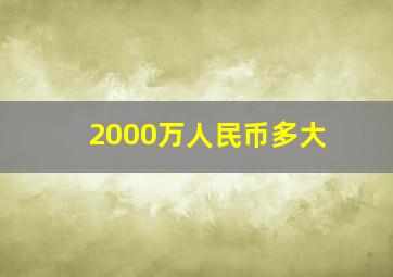 2000万人民币多大