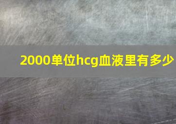 2000单位hcg血液里有多少