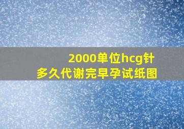 2000单位hcg针多久代谢完早孕试纸图