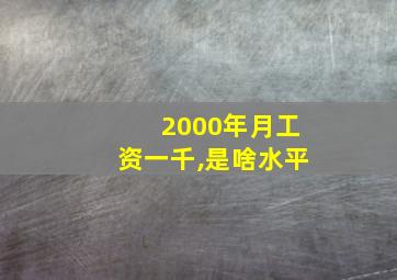 2000年月工资一千,是啥水平