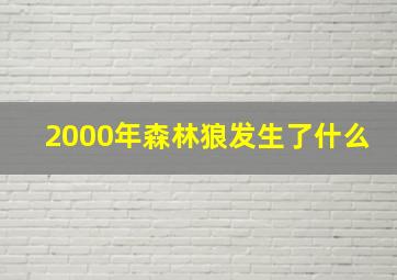 2000年森林狼发生了什么