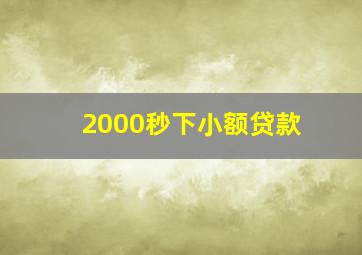 2000秒下小额贷款