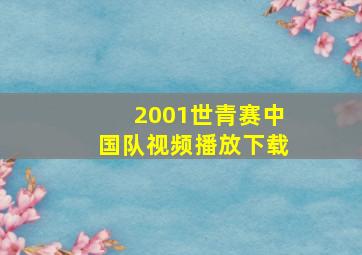 2001世青赛中国队视频播放下载