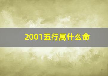 2001五行属什么命