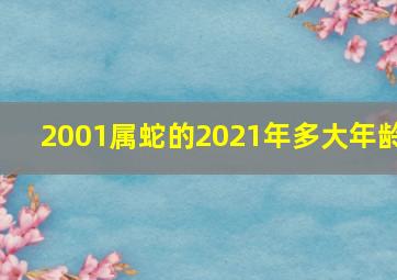 2001属蛇的2021年多大年龄