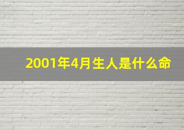 2001年4月生人是什么命