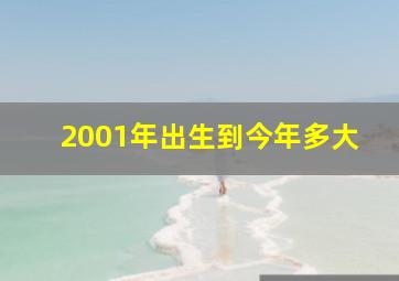 2001年出生到今年多大