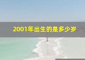 2001年出生的是多少岁