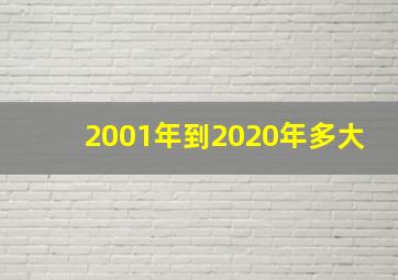 2001年到2020年多大