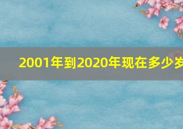 2001年到2020年现在多少岁