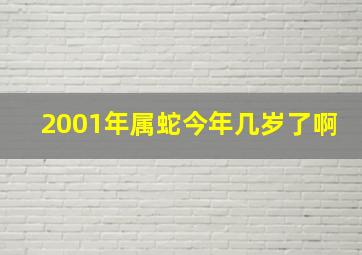 2001年属蛇今年几岁了啊