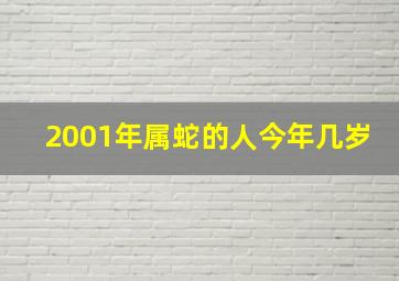 2001年属蛇的人今年几岁