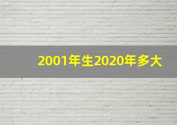 2001年生2020年多大