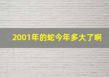 2001年的蛇今年多大了啊