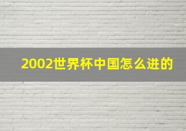 2002世界杯中国怎么进的