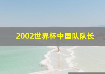 2002世界杯中国队队长