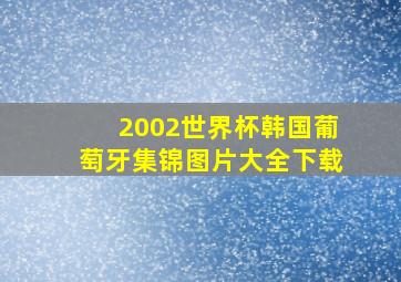 2002世界杯韩国葡萄牙集锦图片大全下载